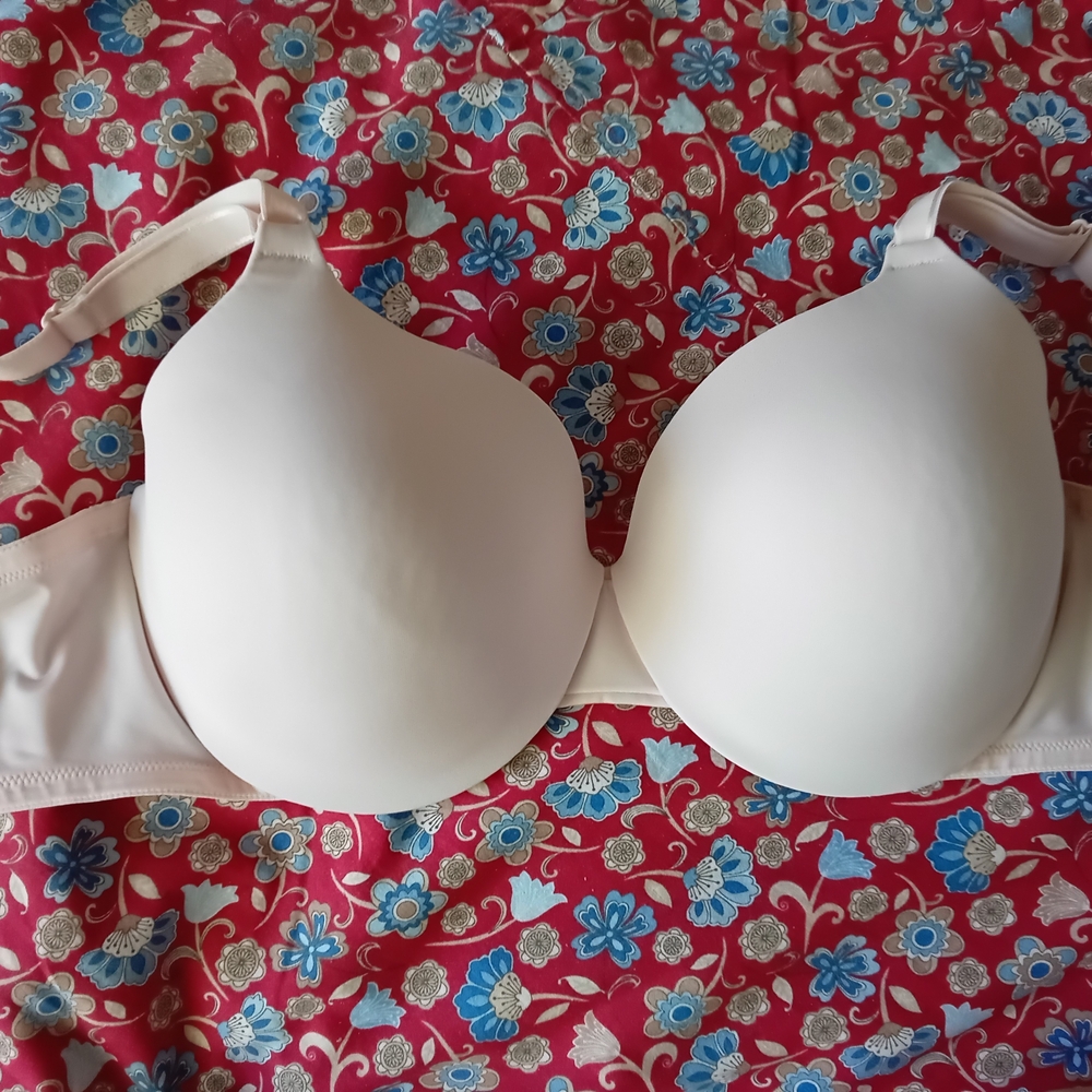 Like New Warners Everyday Smooth T-Shirt Bra in Light Tan Nude 38D